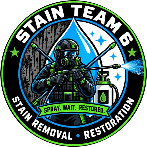 Stain Team 6 logo